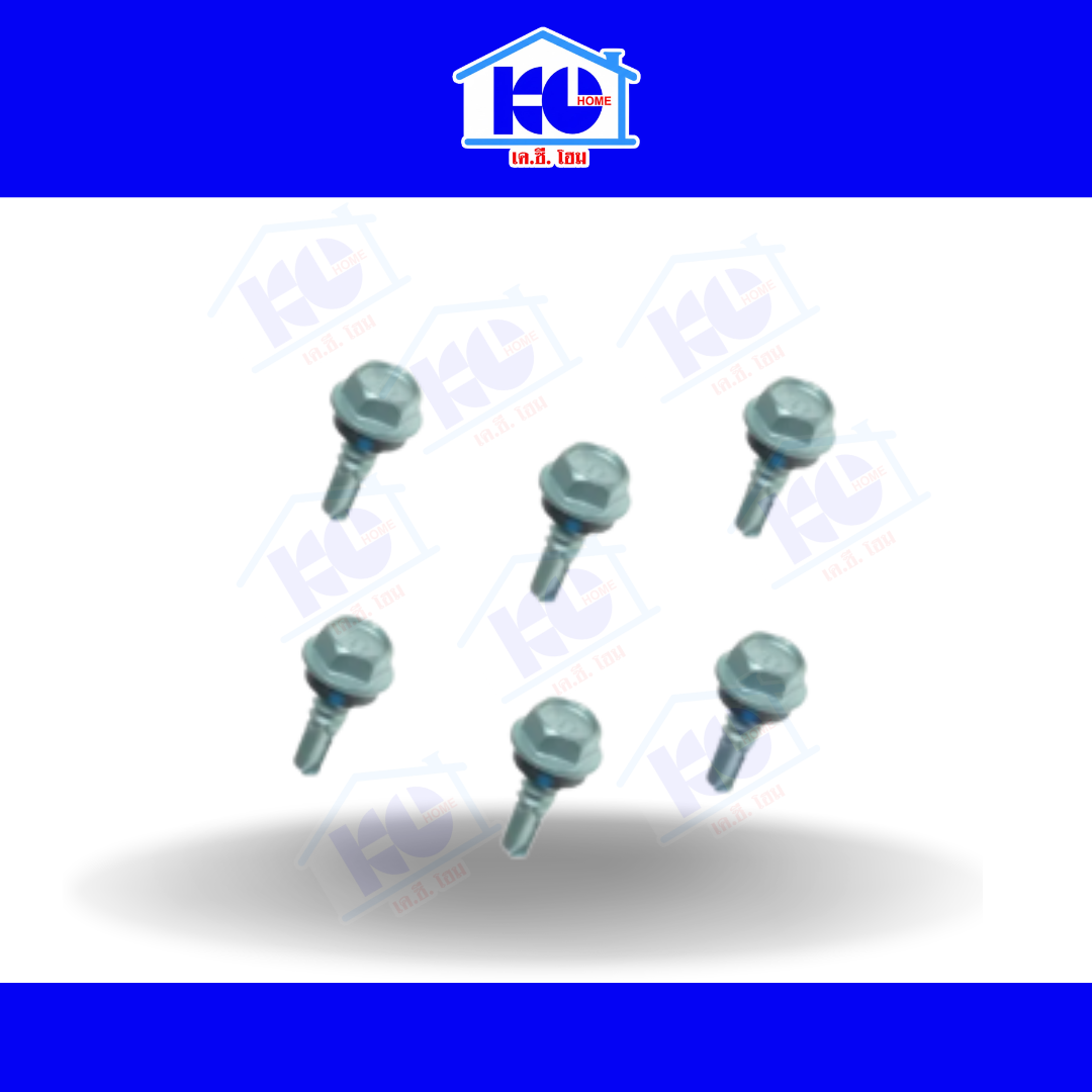 สกรูท้องลอนแปเหล็กขนาด 10x16 รุ่น BSI-PEHG 70